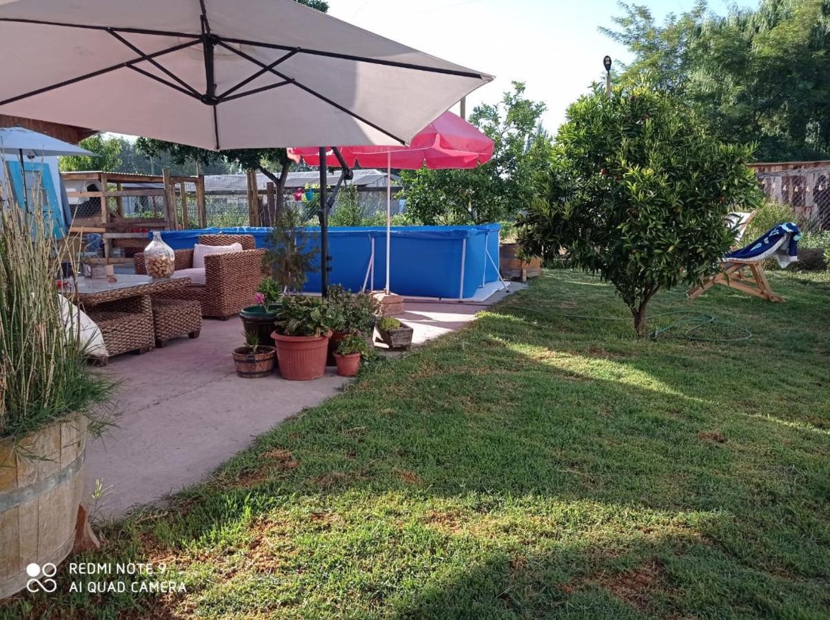 Cabana Corazon De Colchagua Sta Cruz Leilighet Nancagua  Eksteriør bilde